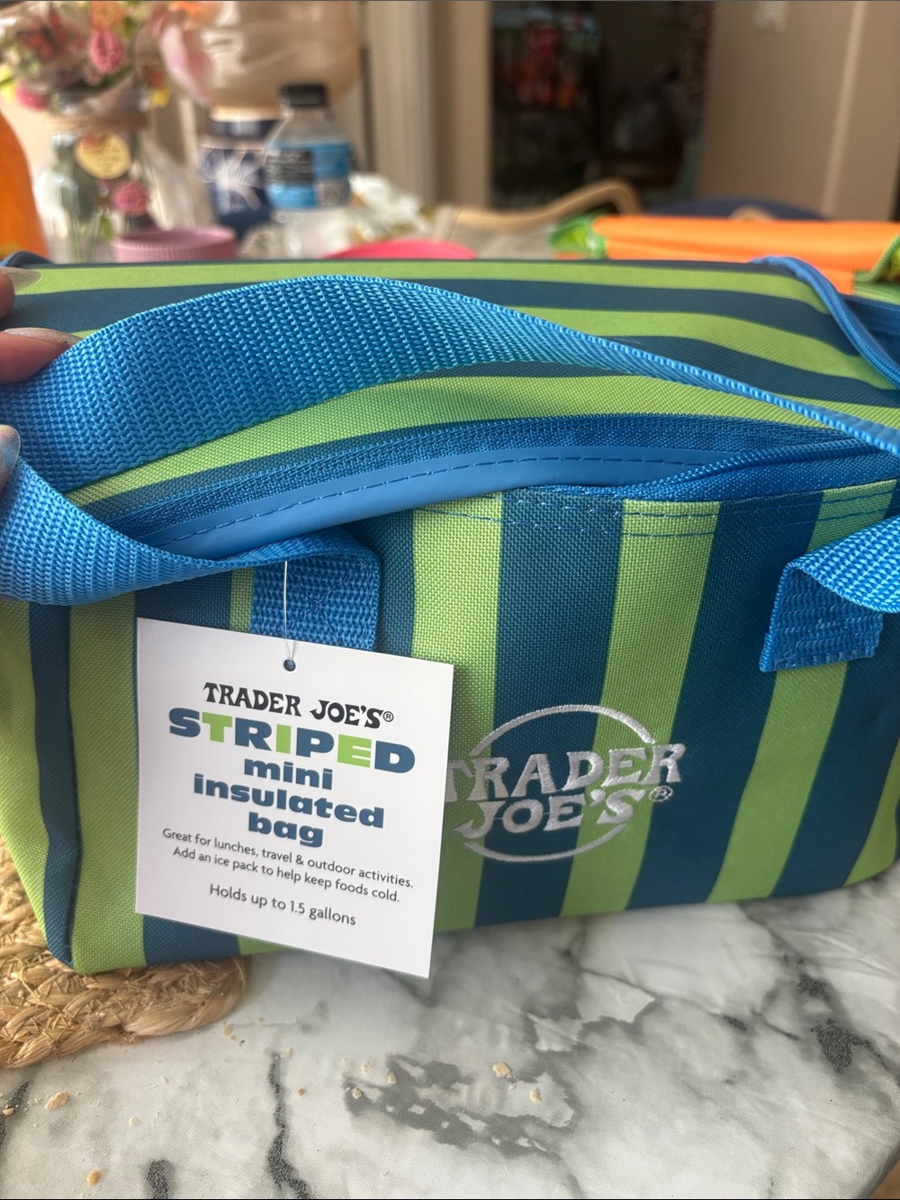 Trader Joe's Striped Mini Insulated Bag - Blue & Lime Green